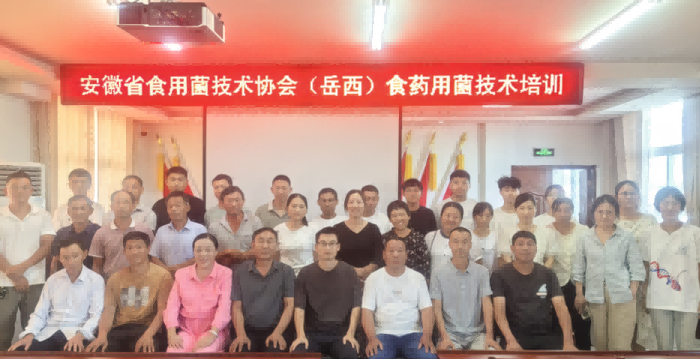 图片2(2).png 图片2(2).png