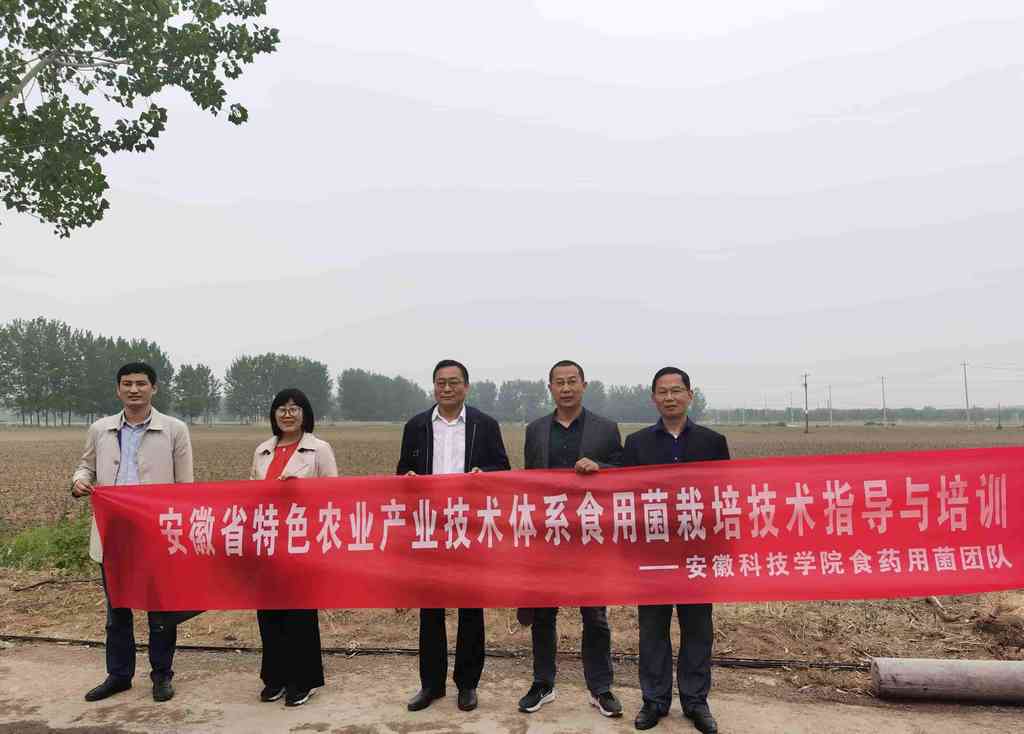 省特色农业产业技术体系岗位专家赴淮北市指导食用菌生产
